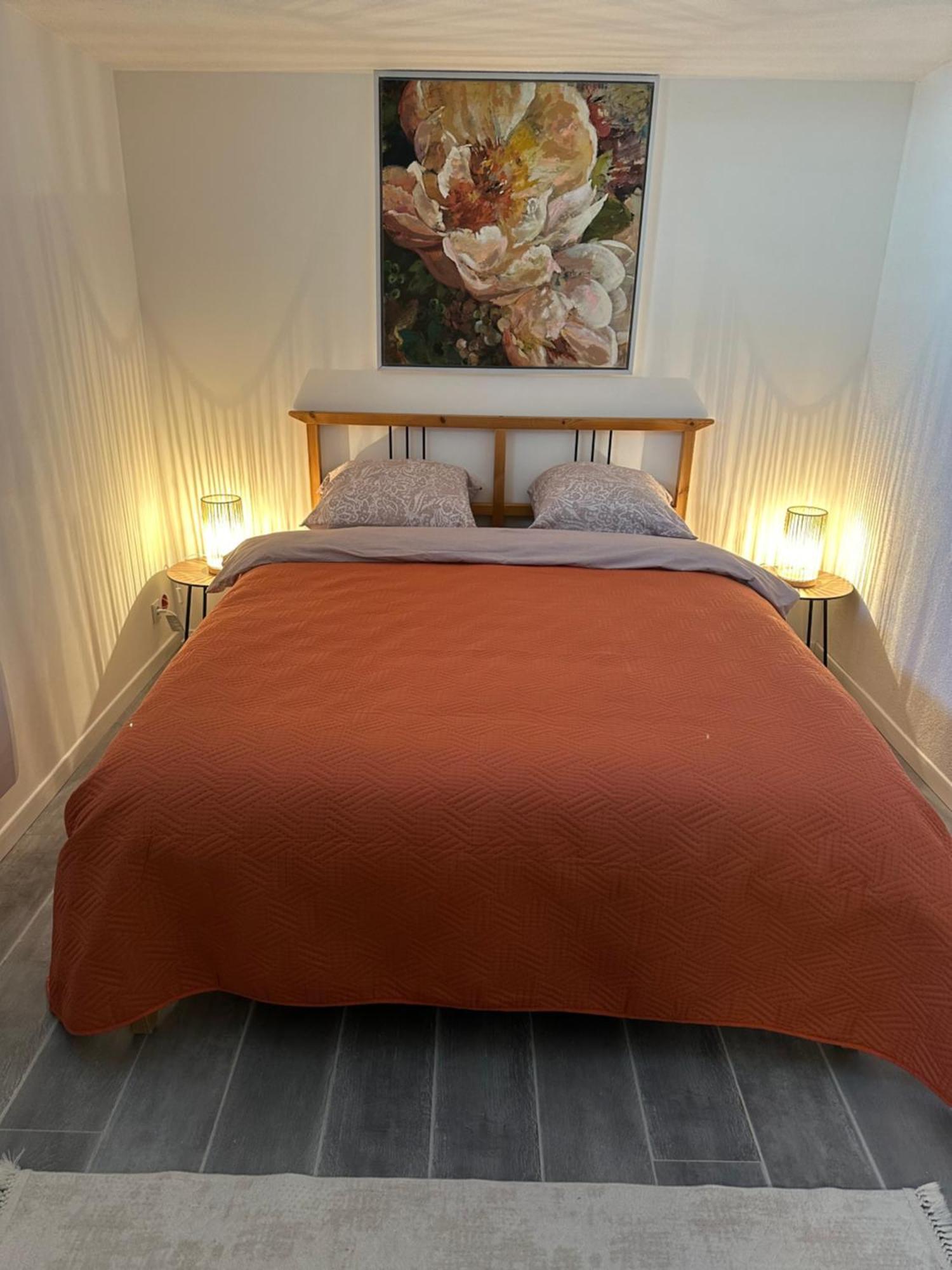 Les Mirabelles Apartment อ็องซิแซ็ง ภายนอก รูปภาพ